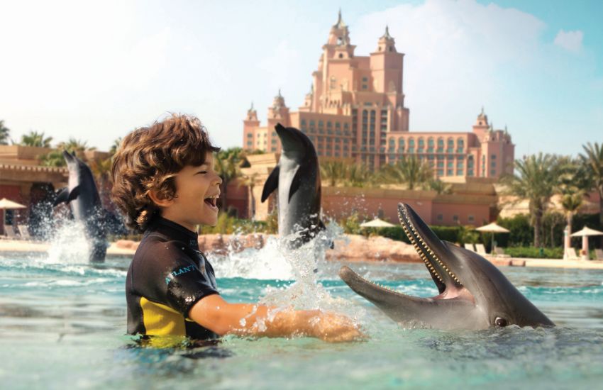 Dubai Dolphinarium | Expedition in Dubai - Thomas Cook